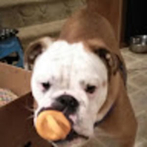 Meet your Posher, Penny